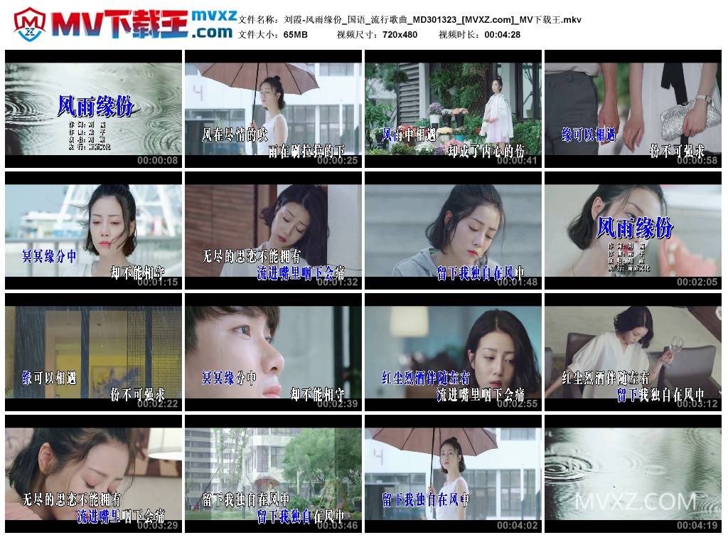 刘霞-风雨缘份_国语_流行歌曲_MD301323